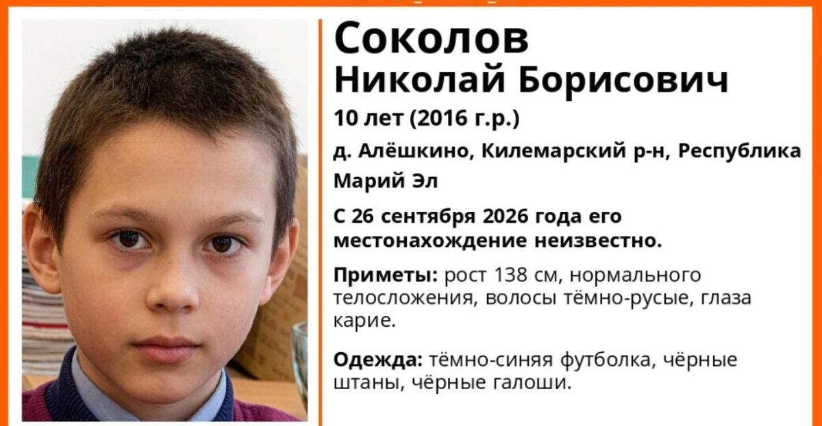 В Килемарском районе пропал 10-летний мальчик
