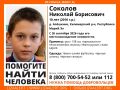 В Килемарском районе Марий Эл ищут пропавшего 10-летнего Николая Соколова