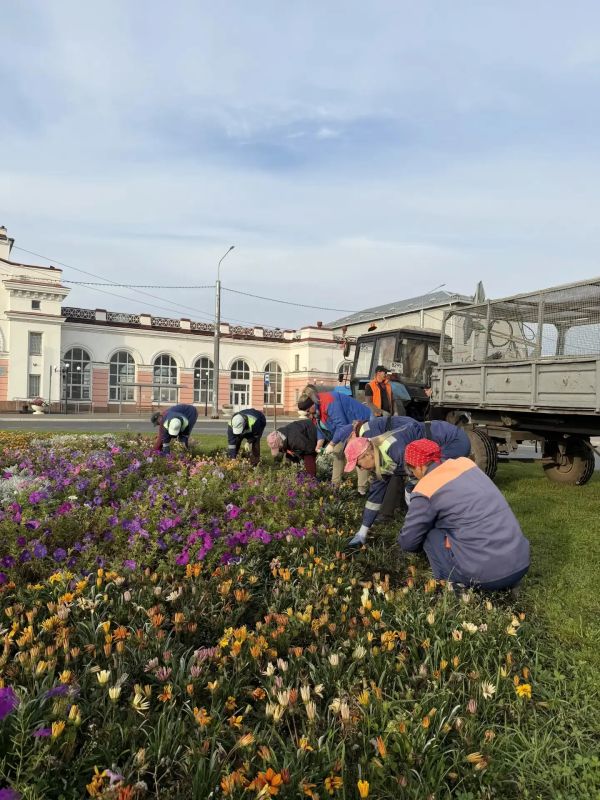 Осенняя уборка городских территорий Осенняя уборка городских территорий