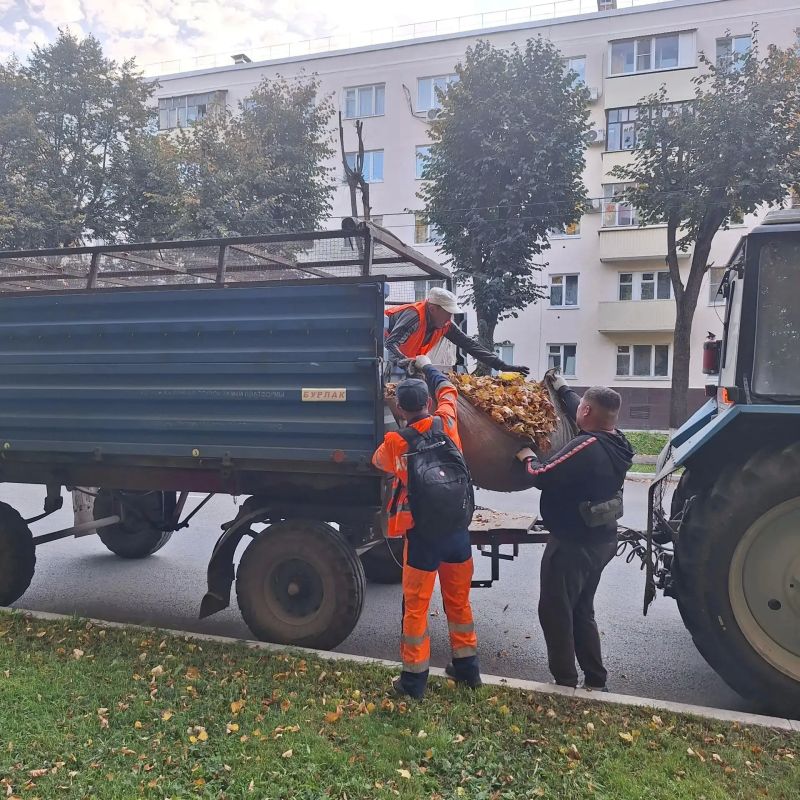 Осенняя уборка городских территорий Осенняя уборка городских территорий