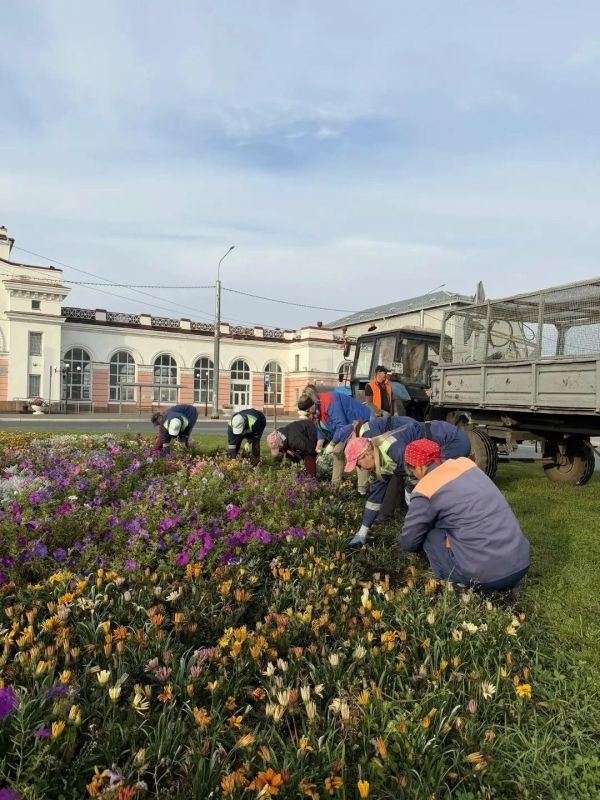 За неделю с улиц Йошкар-Олы вывезли 18 кубометров опавших листьев За неделю с улиц Йошкар-Олы вывезли 18 кубометров опавших листьев