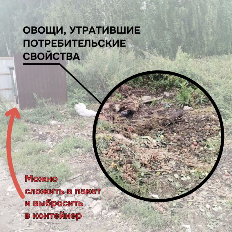 Всё, что жители складируют за пределами контейнерной площадки, является несанкционированной свалкой Всё, что жители складируют за пределами контейнерной площадки, является несанкционированной свалкой