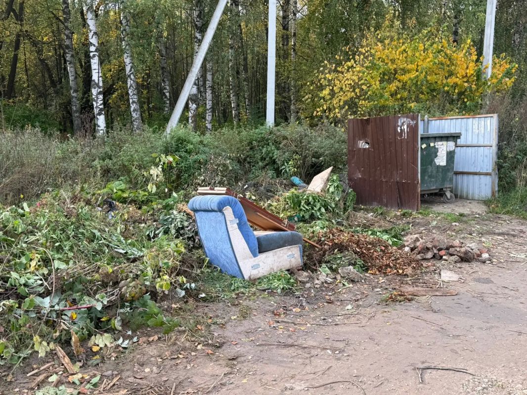 Всё, что жители складируют за пределами контейнерной площадки, является несанкционированной свалкой Всё, что жители складируют за пределами контейнерной площадки, является несанкционированной свалкой