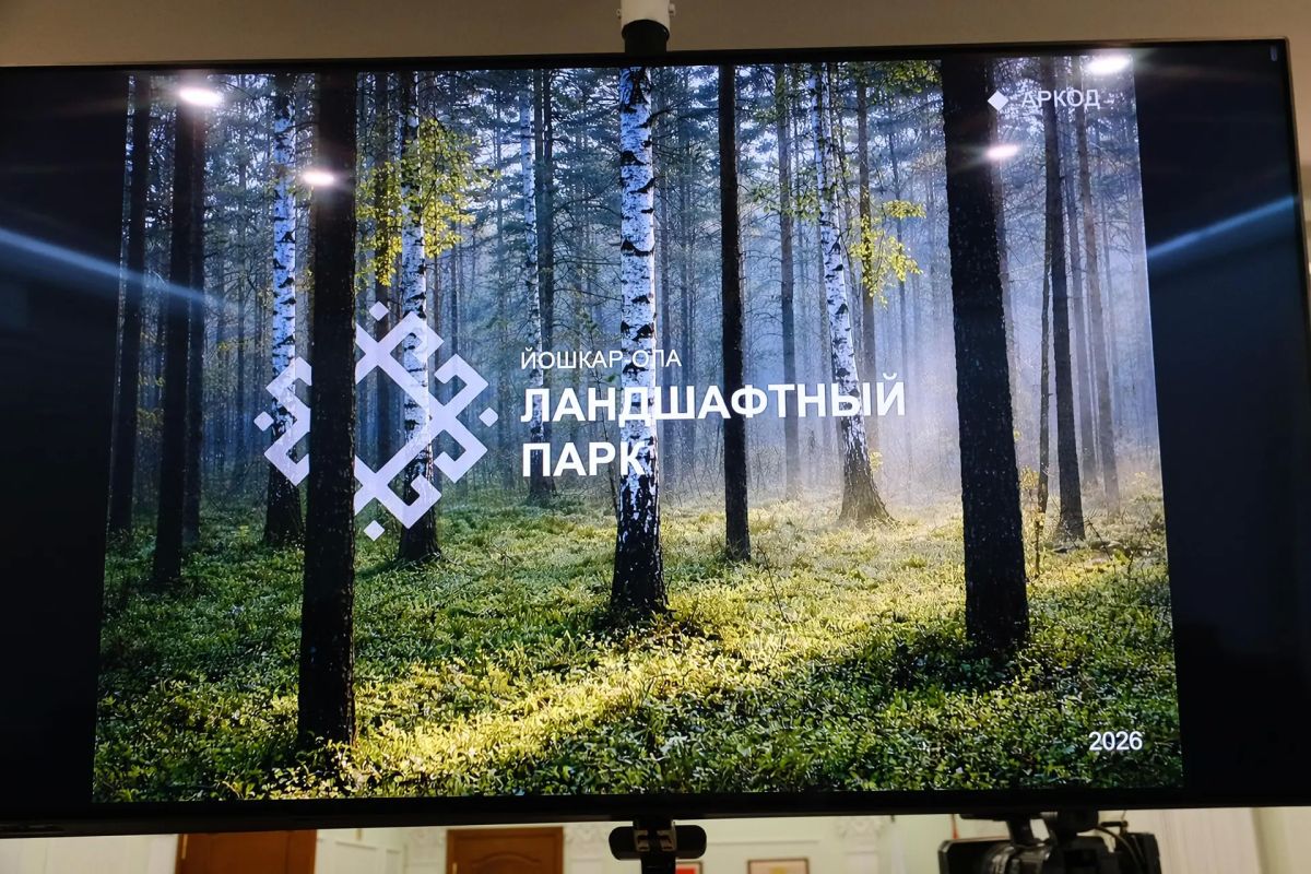 Проект "Город-лес" одобрен Советом по вопросам архитектуры, градостроительства, строительства объектов, развития социальной, инженерной, транспортной инфраструктур Марий Эл Проект "Город-лес" одобрен Советом по вопросам архитектуры, градостроительства, строительства объектов, развития социальной, инженерной, транспортной инфраструктур Марий Эл