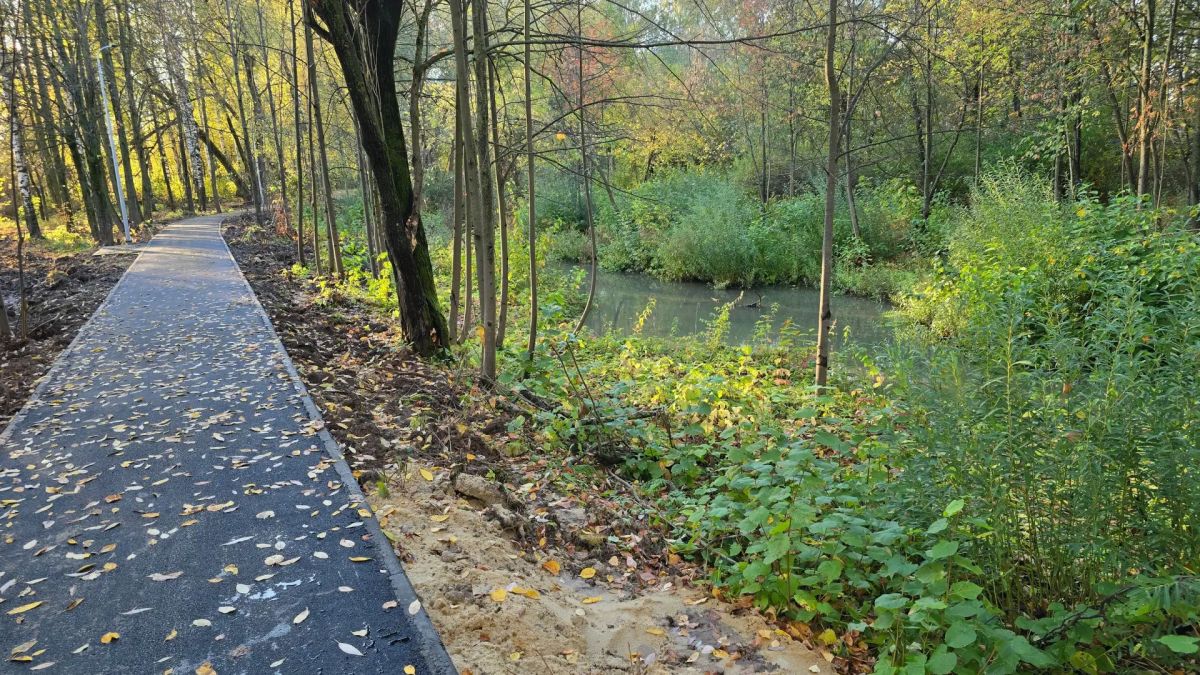 В парке Тарханово в Йошкар-Оле завершили обустройство дорожки
