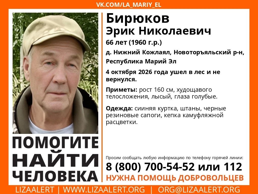 Сегодня в Марий Эл в лесу пропал 66-летний мужчина