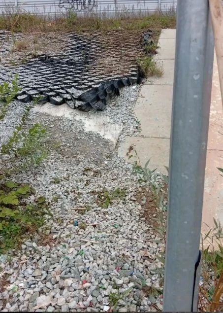 По сигналу горожанки ликвидировали стихийную свалку в Сосновой роще Йошкар-Олы По сигналу горожанки ликвидировали стихийную свалку в Сосновой роще Йошкар-Олы