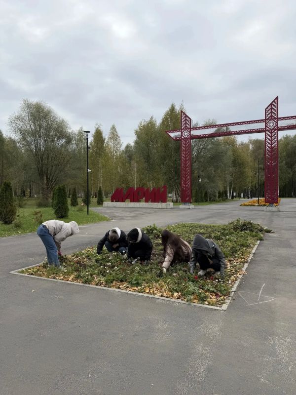 Готовь клумбы осенью. Сейчас самое время для того, чтобы приводить цветники в порядок