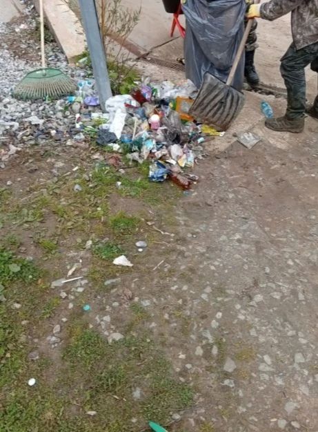 По сигналу горожанки ликвидировали стихийную свалку в Сосновой роще Йошкар-Олы По сигналу горожанки ликвидировали стихийную свалку в Сосновой роще Йошкар-Олы