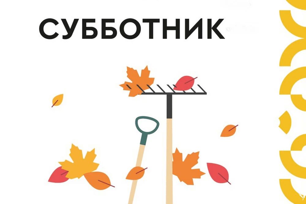 Коллектив Министерства спорта Республики Марий Эл и подведомственных учреждений примет участие в серии общегородских субботников