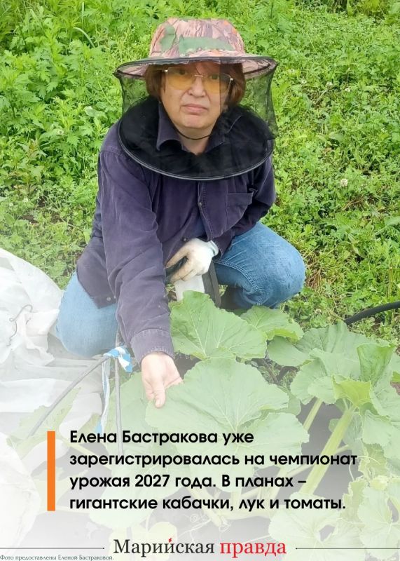 Кабачок-богатырь Кокша и тыква Пампалче из Марий Эл стали участниками национального чемпионата урожая Кабачок-богатырь Кокша и тыква Пампалче из Марий Эл стали участниками национального чемпионата урожая