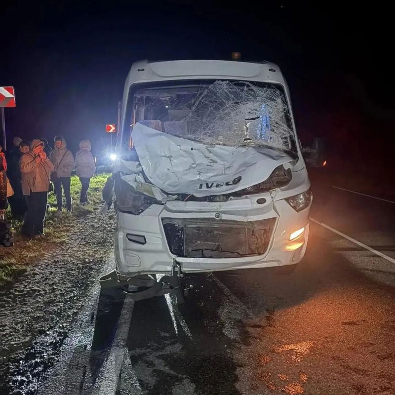 Туристический автобус с 17 пассажирами из Йошкар-Олы, среди которых были двое детей, столкнулся с лосем на ночной трассе в Чувашии Туристический автобус с 17 пассажирами из Йошкар-Олы, среди которых были двое детей, столкнулся с лосем на ночной трассе в Чувашии
