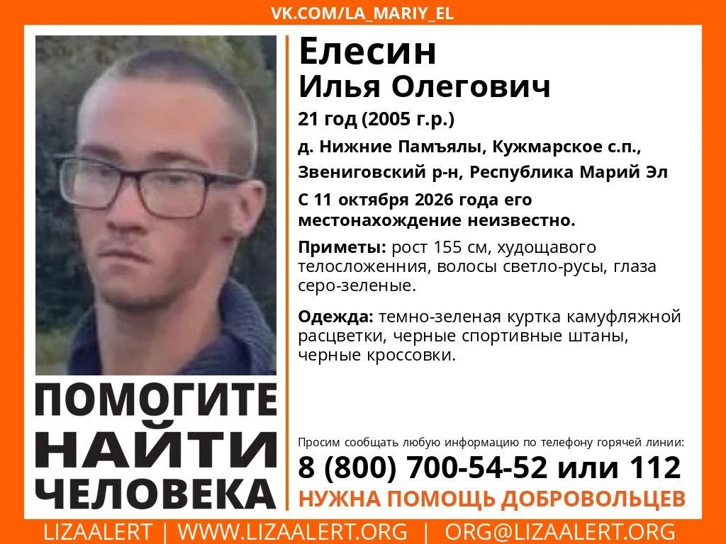 Внимание! Пропал человек!. Пропал #Елесин Илья Олегович, 21 год, д. #Нижние_Памъялы, #Кужмарское с.п., #Звениговский р-н, Республика #Марий_Эл
