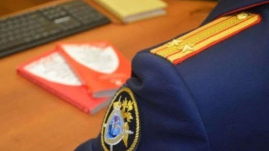 В Республике Марий Эл завершено расследование уголовного дела в отношении женщины, обвиняемой в причинении смерти брату