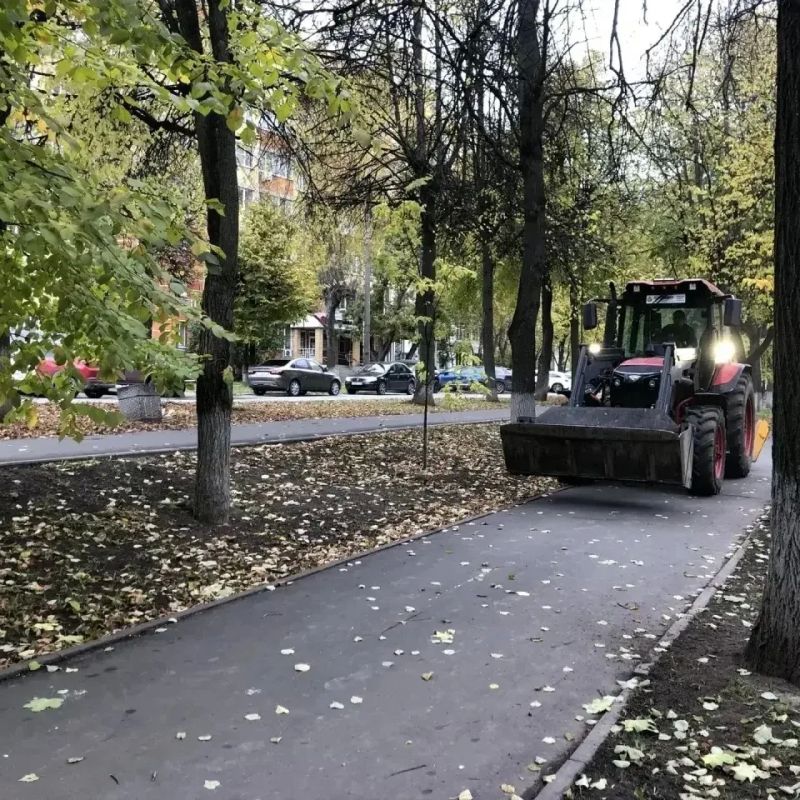 Осенняя уборка в Йошкар-Оле: ежедневные заботы и общегородские субботники