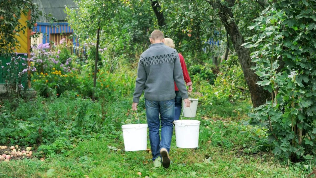 В селе Сотнур четыре социальных объекта остались без воды из-за аварии