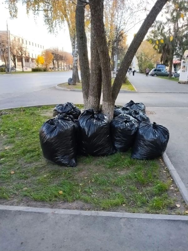 Сотрудники Минстроя и ЖКХ Республики Марий Эл вновь присоединились к традиционному осеннему субботнику Сотрудники Минстроя и ЖКХ Республики Марий Эл вновь присоединились к традиционному осеннему субботнику