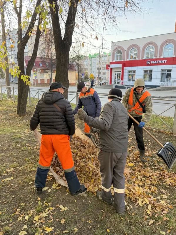 Осенние заботы с прицелом на предстоящую зиму Осенние заботы с прицелом на предстоящую зиму