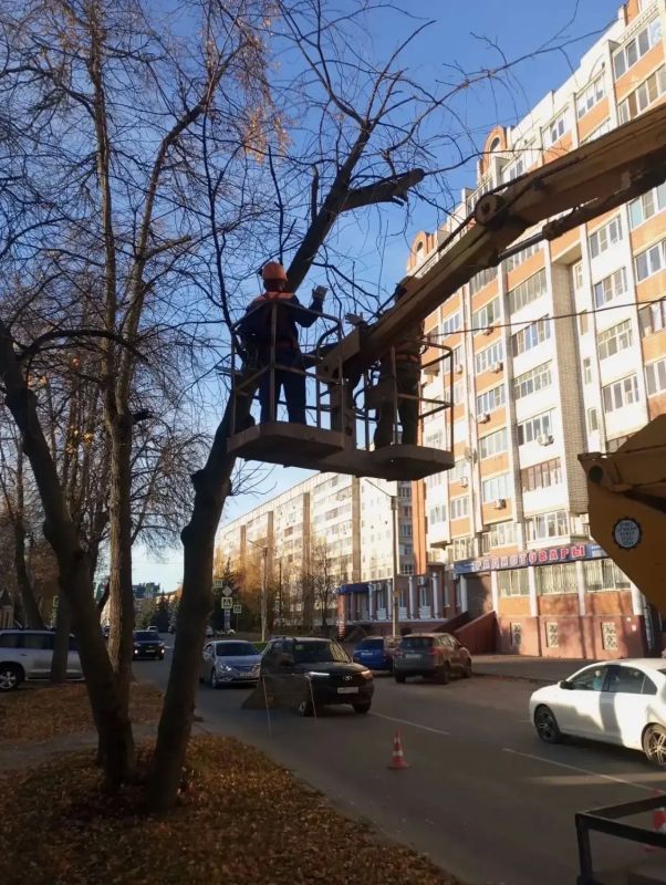 Осенние заботы с прицелом на предстоящую зиму