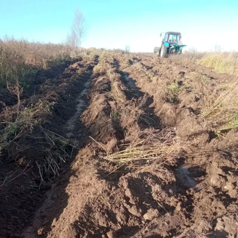 В городском округе "Город Йошкар-Ола" обновляют «щит» от ландшафтных пожаров В городском округе "Город Йошкар-Ола" обновляют «щит» от ландшафтных пожаров