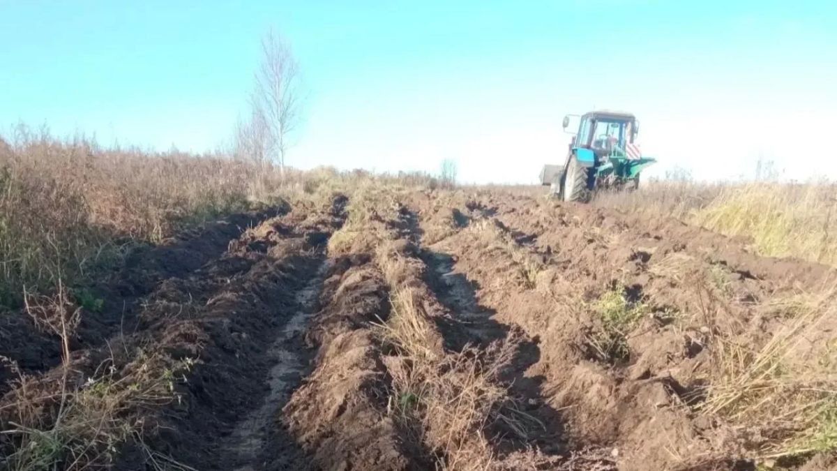 В Йошкар-Оле и пригороде обновляют защитные барьеры