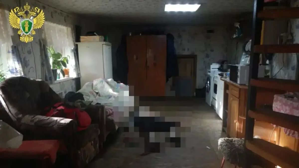 В частном доме в Горномарийском округе убили 72-летнего мужчину
