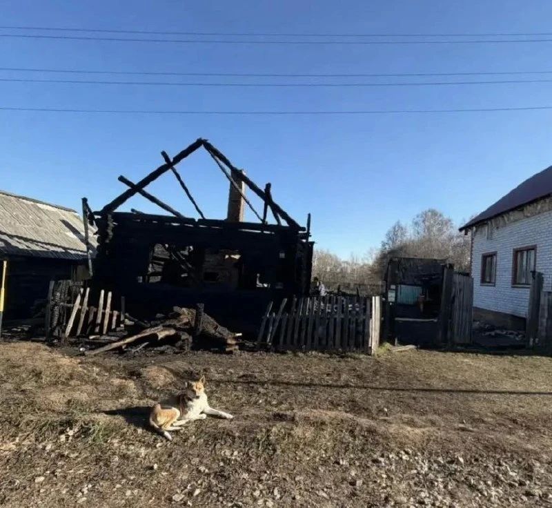 Личность человека, погибшего на пожаре в Параньгинском районе, устанавливается, сообщили в региональной прокуратуре