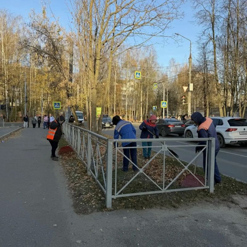 За сезон из Йошкар-Олы вывезли порядка 800 кубометров листвы