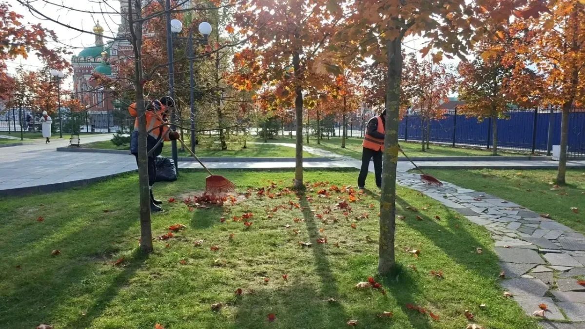 В эту пятницу в Йошкар-Оле пройдёт последний осенний субботник
