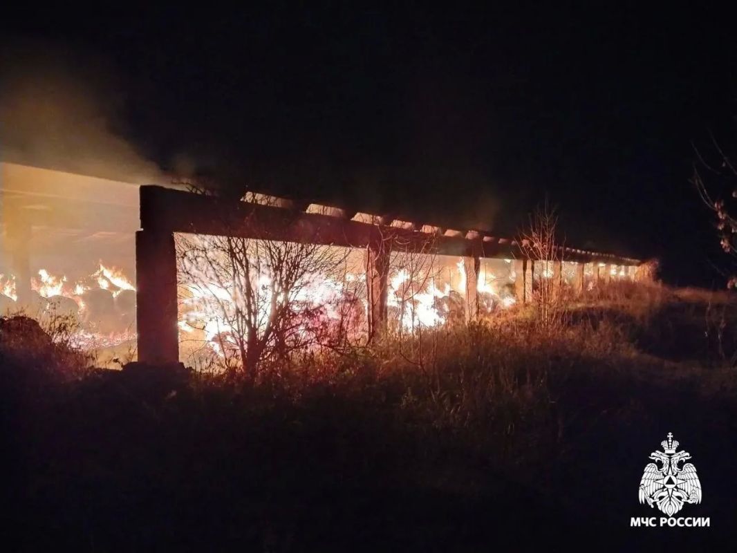 В Мари-Турекском районе сгорело около 400 рулонов сена В Мари-Турекском районе сгорело около 400 рулонов сена