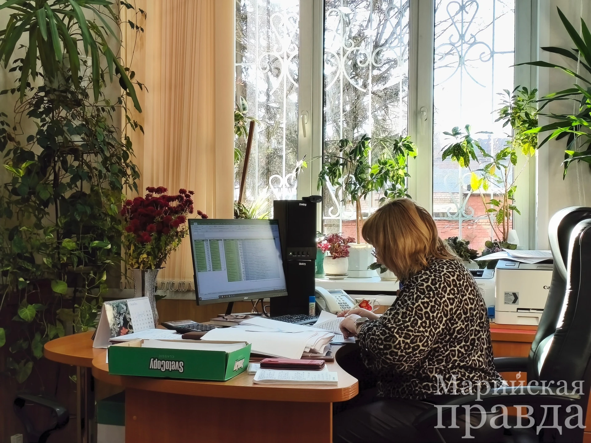 25 жителей Марий Эл получат по 2 тысячи рублей благодаря везению и ответственности