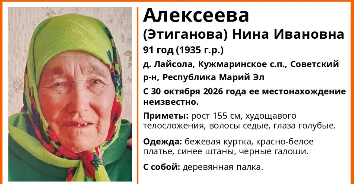 Поисковики Марий Эл в срочном порядке выезжают на поиск 91-летней бабушки