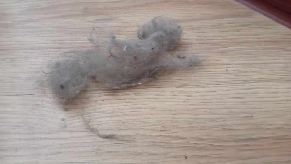 Скрытые уголки вашей квартиры: как не стать заложником пыли