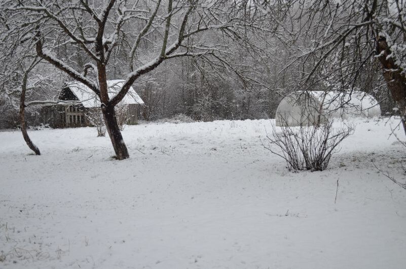 Как правильно заботиться о теплице зимой: советы по уходу за поликарбонатными конструкциями