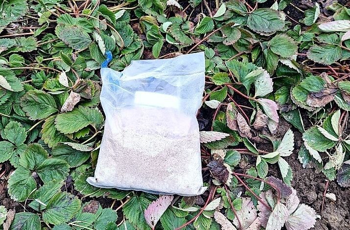 ��� ��������� ��������� �� ���������: ������� ��������� �� �����