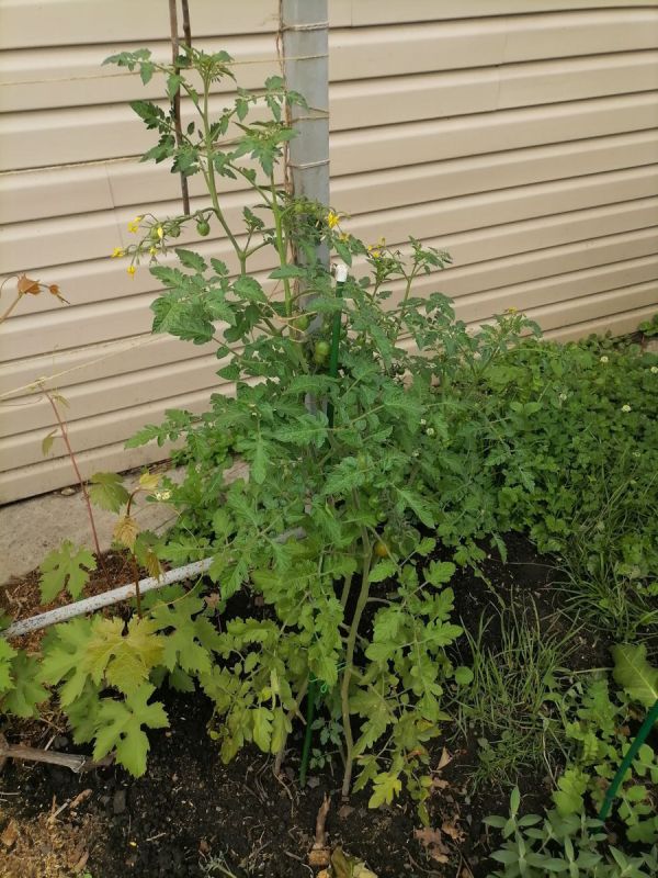 ��� ��������� ��������� �� ���������� � ������: ������� ��������� ����� ������