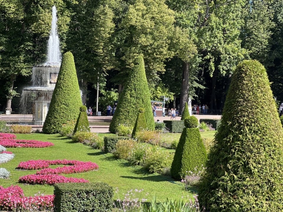 ��� �������: ��� ������� ��������� ������� ��� ������ ���� � 2026 ����