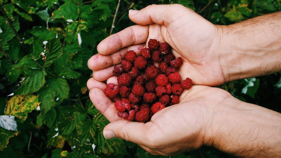 ��� ��������� �� ������ ������� ��� �����: ��������� ����� �������