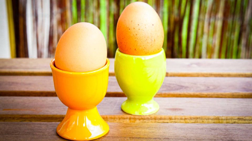 �������� ��� ����� ������ � ������� ���: ����� ���� ������� ��������� ������� ��������