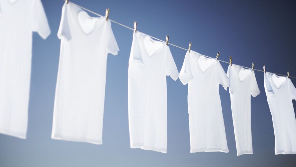 ������ ����� �� ���� � ������ �� ��������: ������� ������� ����� ������� ���������� ����