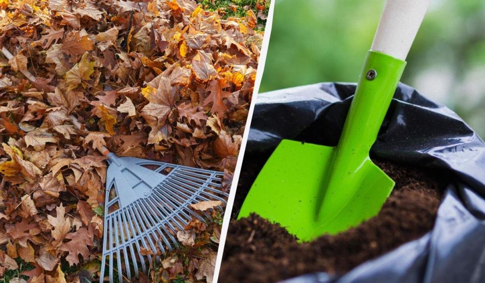 ��� ������� �������� ���������� ������� ������ � ����������� ���������