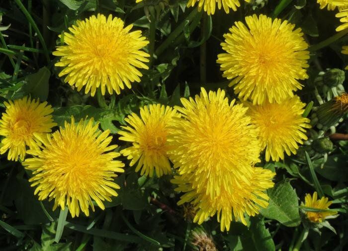 ��� ���������� �� ���������� �����������