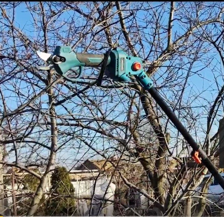 �������������� �������� � 2026 ����: ������������ � ������ �� ������