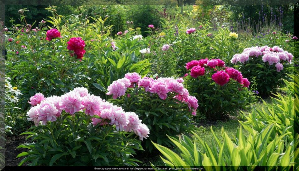 �����, ������� ���������� ������������� ���������: 20 ������������ ������ ��� ������ ����