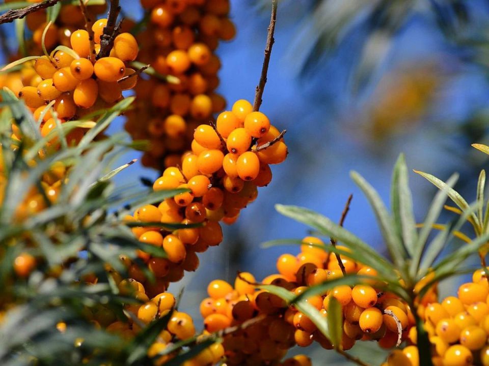 ��� ������� ���������� ���������� ��� ������ �������