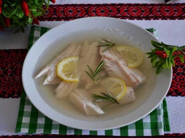 ������ ���� ������� ��������� ��������� ��� ���������