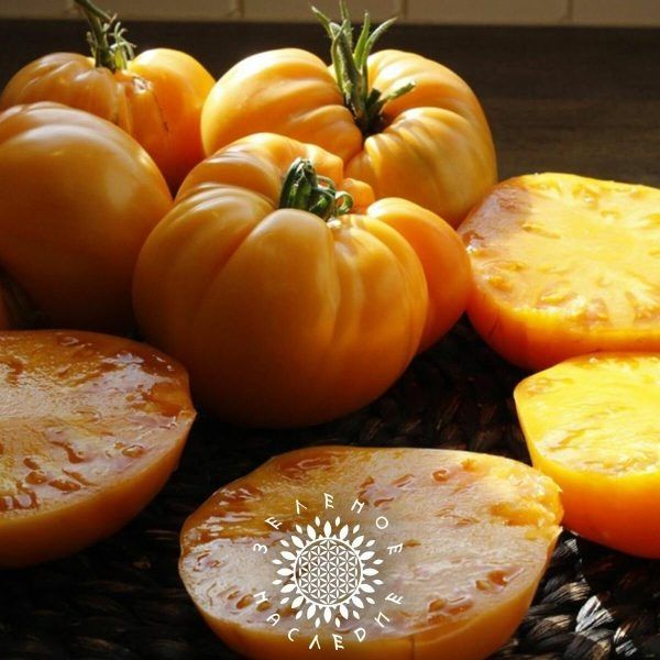 ����� ���������� ������: ��� ��������� �������� ������� � ����������� ������