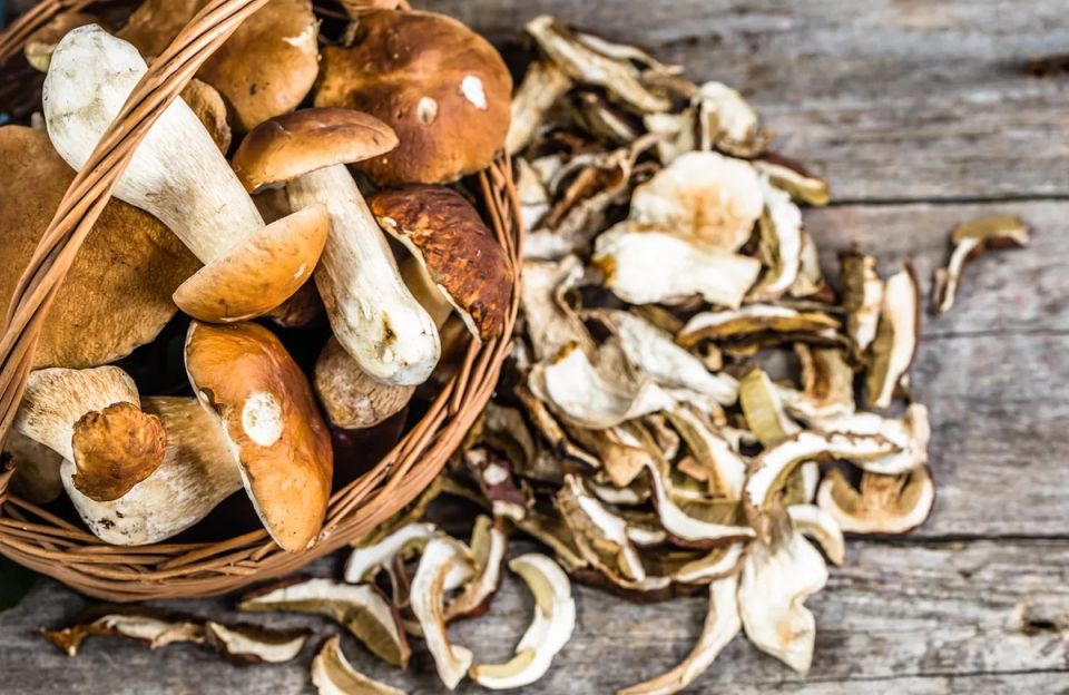 ��������� ������ �� ����� � �������� ������