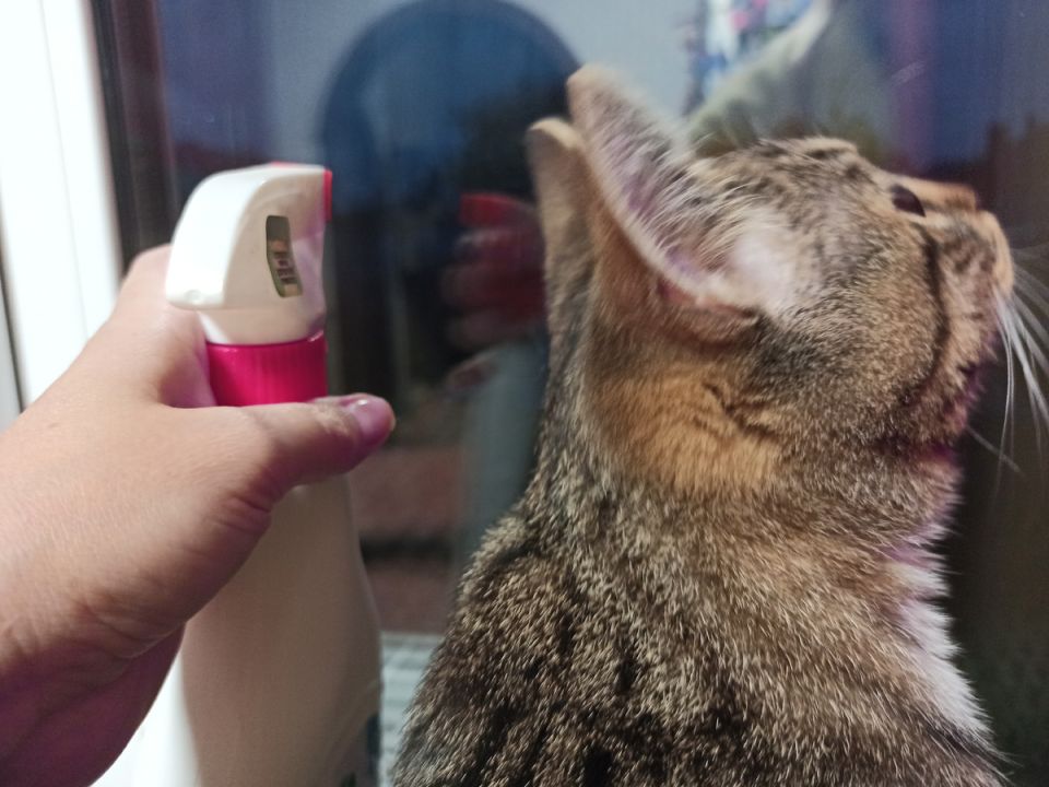 ��� ������� ���� � ������ ��� ������ ������