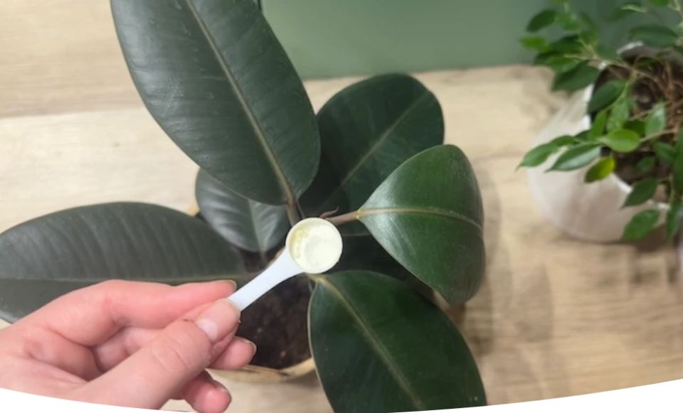 ������ ��������� ��������� ��������: ��� ��������� �������� � �������� �����